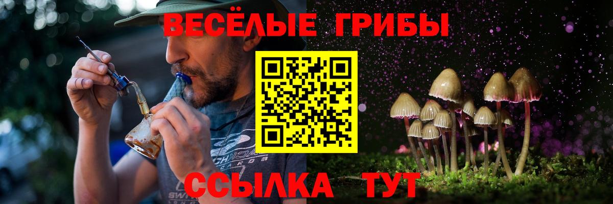 АМФЕТАМИН Камышлов