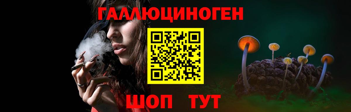 Камышлов  Галлюциногенные грибы GOLDEN TEACHER  Вход с VPN  Псилоцибиновые грибы Psilocybine cubensis 